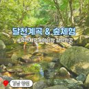 달천계곡 상류 | 창원 달천계곡 아이랑 방문 솔직후기 (장단점 3가지)