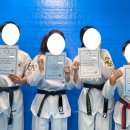 도담 서창 태권도 이미지