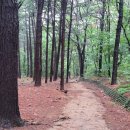 인천대공원(남문) 이미지