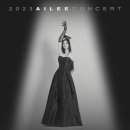 에일리 전국투어 콘서트 이미지