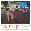 단 3일 밤에만 열리는 영암반딧불이축제 전남 여름여행지 가족나들이 내돈내산 솔직후기
