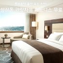 롯데호텔울산 | 롯데호텔 울산 후기, 삼산동 관람차뷰 피트니스 무료 해피아워 정리