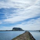 오조리-2 이미지