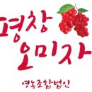 평창오미자영농조합법인 이미지