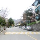 분당-246 이미지