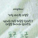 엔12 이미지