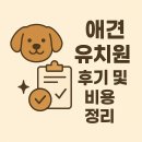 하나유치원 | 애견 유치원 후기 및 비용 총정리 (서비스, 효과, 가격, 주의사항까지)