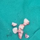 신경하치과의원 이미지