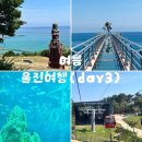 월송정 | 울진여름여행 DAY3] 울진관광택시타고 등기산스카이워크, 월송정, 아쿠아리움, 왕피천케이블카 관광한 후기