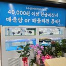 양정횟집 - 거제시 양정2길 46 | 양정횟집