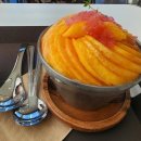 원주 판부면 달달한 복숭아 빙수 용수골 카페 본점 그리너리 내돈내산 솔직후기(간단)