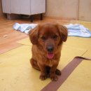 나리cafe’ 이미지