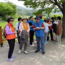 공세리마을 이미지