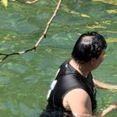 뒤골 | [깨알정보] 즐라이미 콜드부스터 스파클링 두피 에센스 사용후기