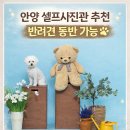 사진고 | 안양 셀프사진관 추천 ㅣ 아이 + 강아지 가족사진 "정원 셀프 사진고나 평촌점" 후기