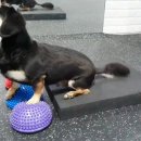 견학생스쿨 이미지