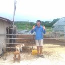 금란한우농장 이미지