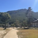 남원 실상사 석등 | [남원 여행] 🌿 남원 실상사 방문 후기 – 역사와 자연이 어우러진 천년고찰 🏯