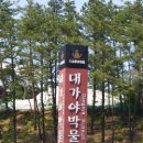 대가야박물관 이미지