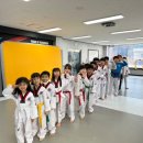 JS태권도장 이미지