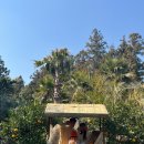 보룡농장 이미지