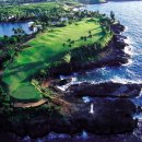 알지골프 이미지