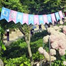 공주수국명소 기대와 달랐던 솔직후기 유구색동수국정원 수국축제 끝나는 다음주 만개