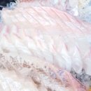 코코넛 모텔 이미지