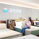 금성침대 | 금성침대 매트리스 헤스티스 라지킹 방문후기