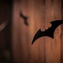 인간의 딜레마 이미지