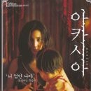 아카시아 ( Acacia 2003 ) 이미지