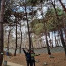 `24.01월 용마45막일산악회 수원팔달산 및 화성성곽 이미지