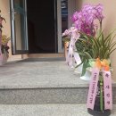 수무 이미지