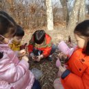 서울시야생동물센터 이미지