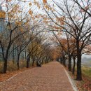 제1금천교 이미지