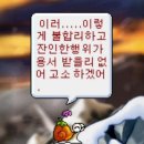 엄마사랑건강원 | 뭔 프랑스 사람 이름도 아니고 이번 달 갓 생 드간다~