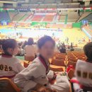 고려인성태권도 | 태권도 3품 대회 준비 체크리스트, 참여 후기. 만 15세 이후 품→단 전환