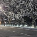 점촌고등학교 이미지