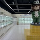 인천고양이분양 테디럽 이미지