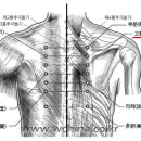 내방역 4번출구 횡단보도 이미지