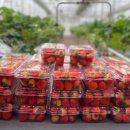 남양주시농업기술센터 이미지