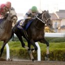 우승목장2 이미지