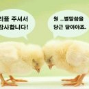 ♡ 7월 유명산 정기산행 선입금 및 참여신청자 명단 이미지