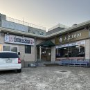 금돈돼지 이미지