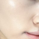 아리얼 잉크피더 벨벳 핏 쿠션 전색상 리뷰🩷