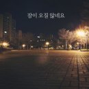 장범준 '잠이 오질 않네요' 분석 이미지