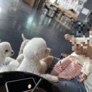 루이야 학교가자 이미지