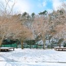 파회주차장 이미지