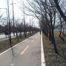 핑시화 이미지