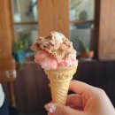 충주 점심 맛집 이씨식당 충주점 풍자 또간집 직화쭈꾸미 고구마치즈 짱